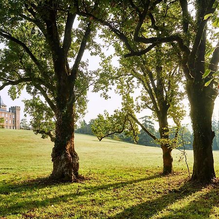 Chateau De Sibra Lagarde  Kültér fotó